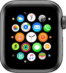 Apple Watch Series 4 (40mm)