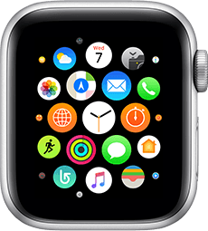 Apple Watch Series 4 (44mm)