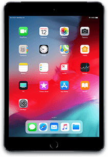 iPad mini 5 (Cellular)