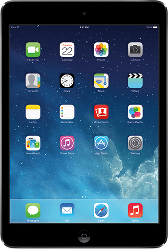 iPad mini (WiFi)