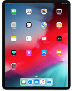 iPad Pro 3 (12.9-inch, Cellular, 1TB Model)