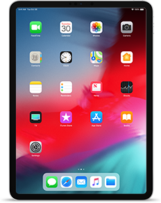 iPad Pro 3 (11-inch, WiFi, 1TB Model)